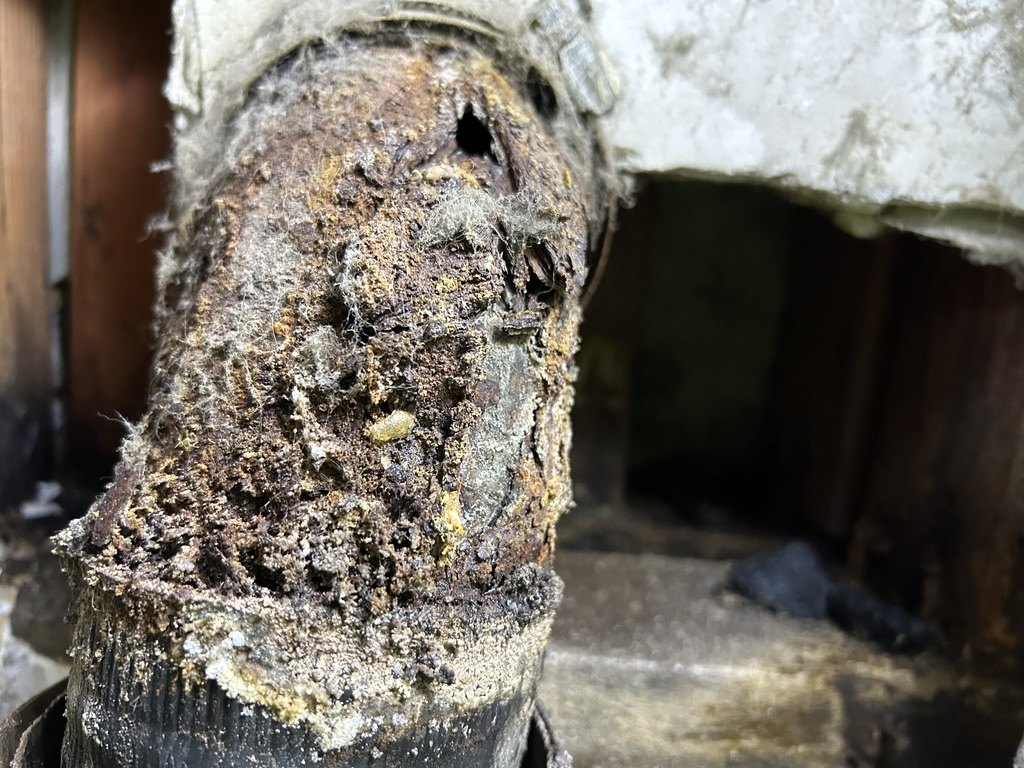 Deteriorated cast-iron drain fitting with visible corrosion and holes before repair