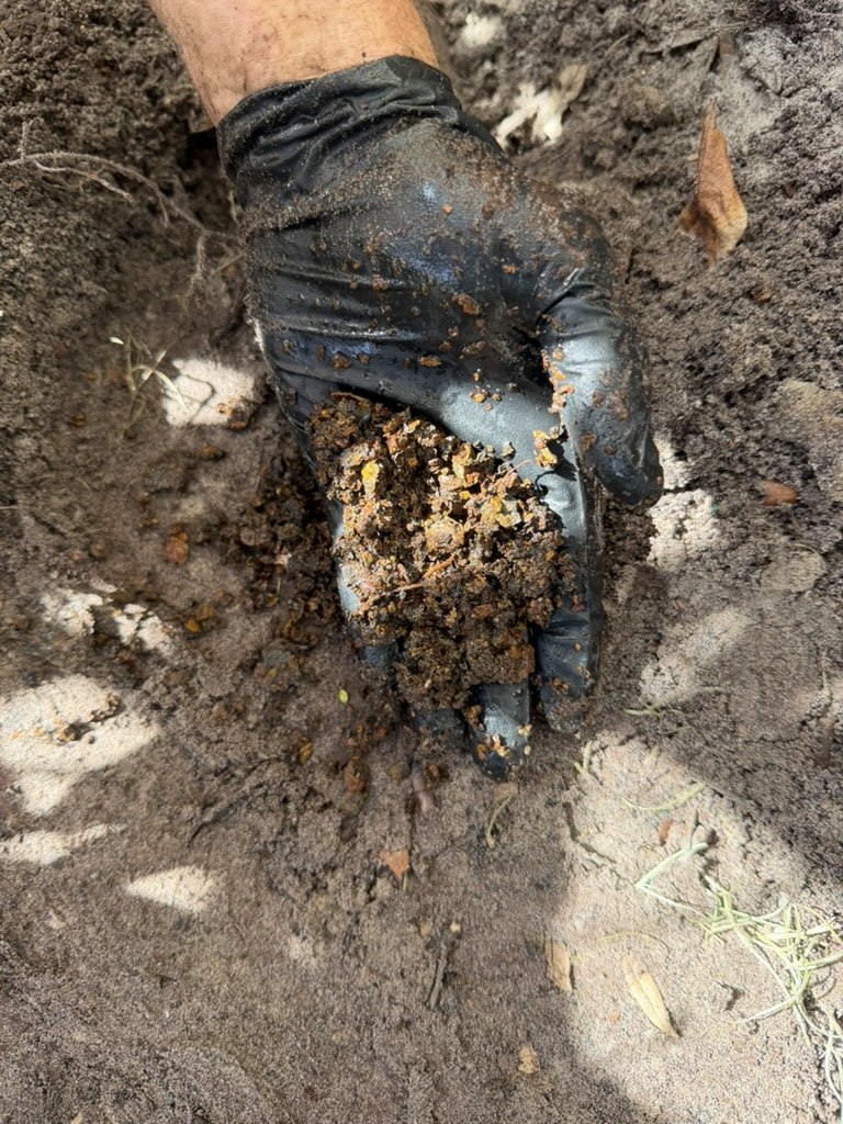 Technician’s gloved hand holding rust-colored flakes and debris beside the excavated drain access