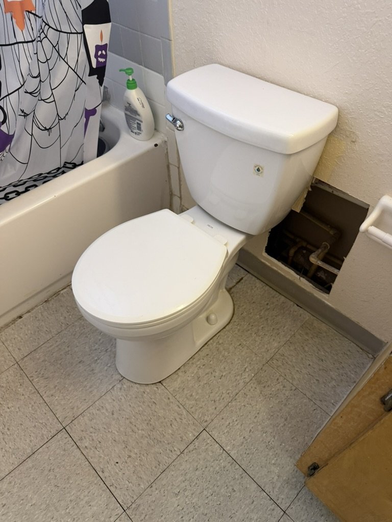 Bathroom toilet beside an access opening in the wall