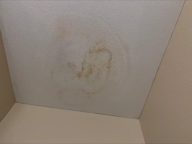 Brown water staining on a ceiling near the corner of a room